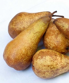Hrušeň podzimní 'Abate Fetel'